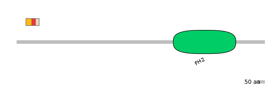 BtaEX0014632-INC
