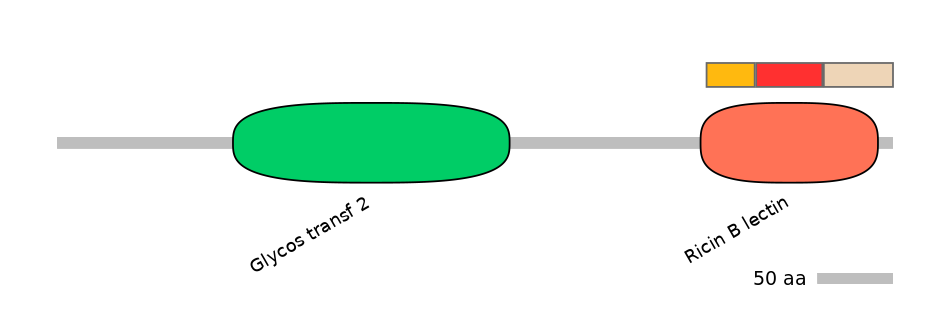 BtaEX0015289-INC