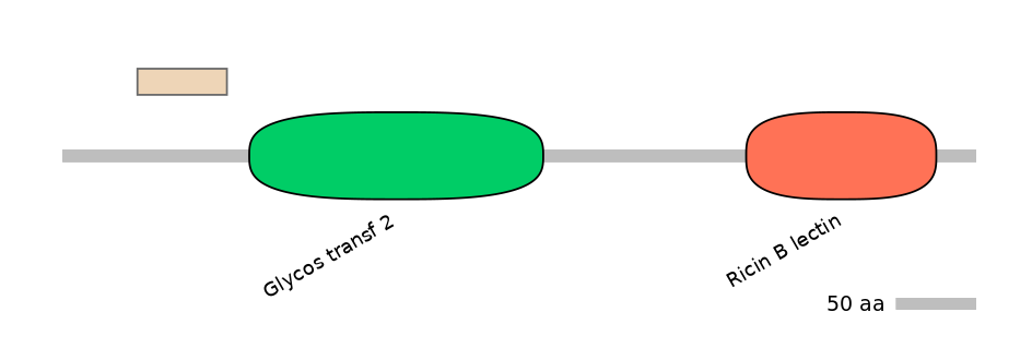BtaEX0015294-EXC