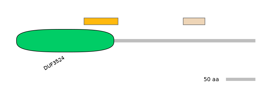 BtaEX0016458-EXC