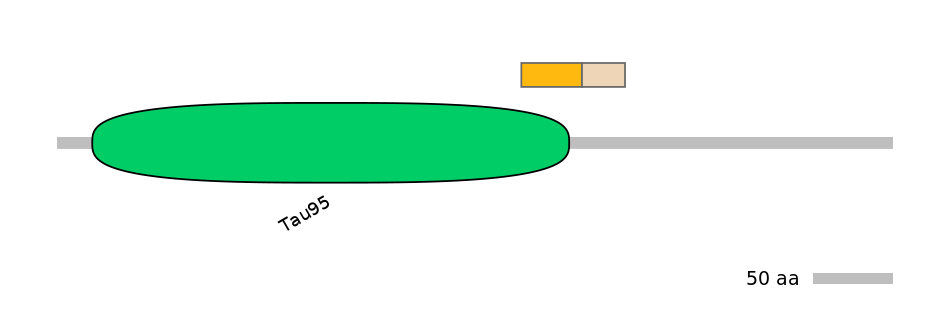 BtaEX0016530-EXC