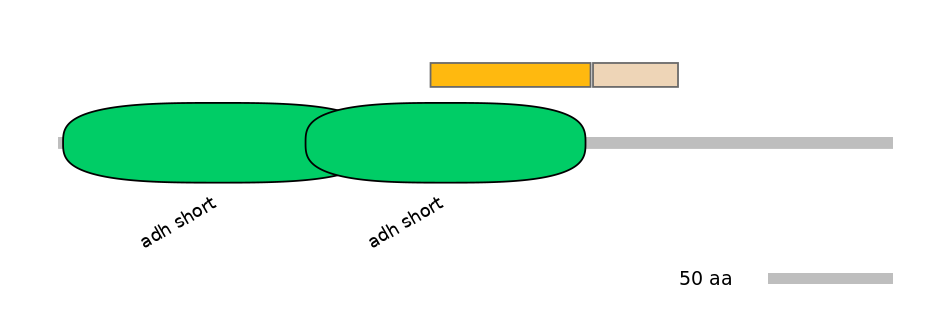 BtaEX0017452-EXC