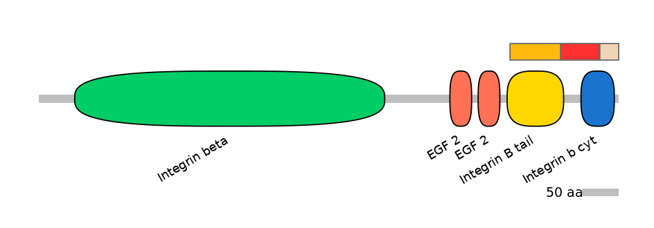 BtaEX0018555-INC
