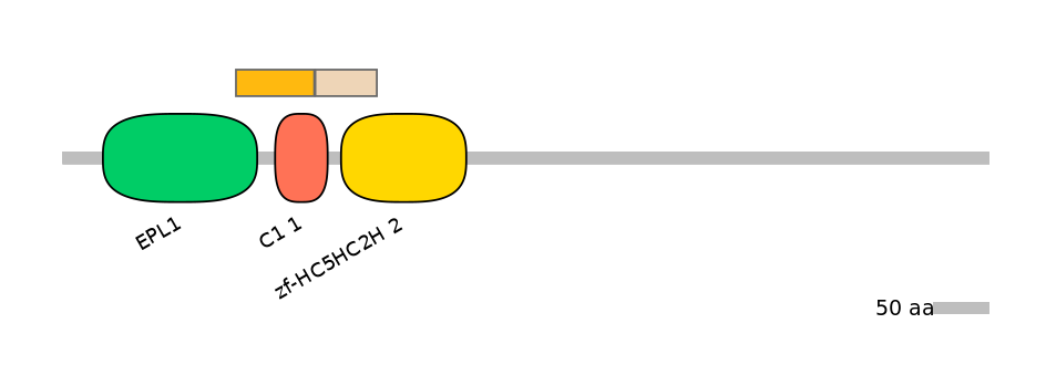 BtaEX0018654-EXC