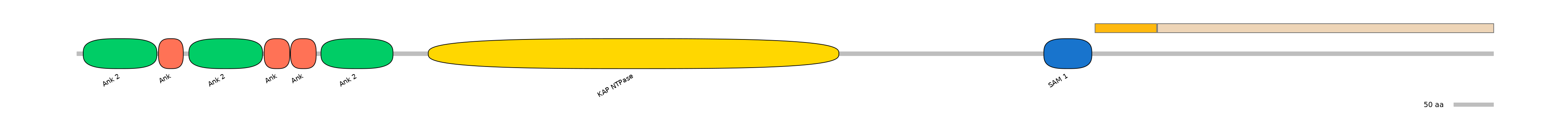BtaEX0019348-EXC