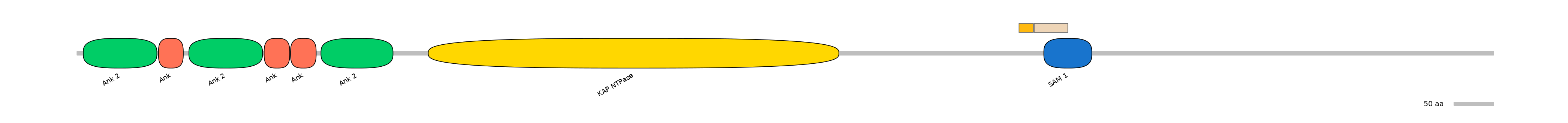 BtaEX0019351-EXC