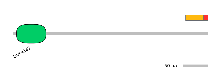 BtaEX0020209-INC