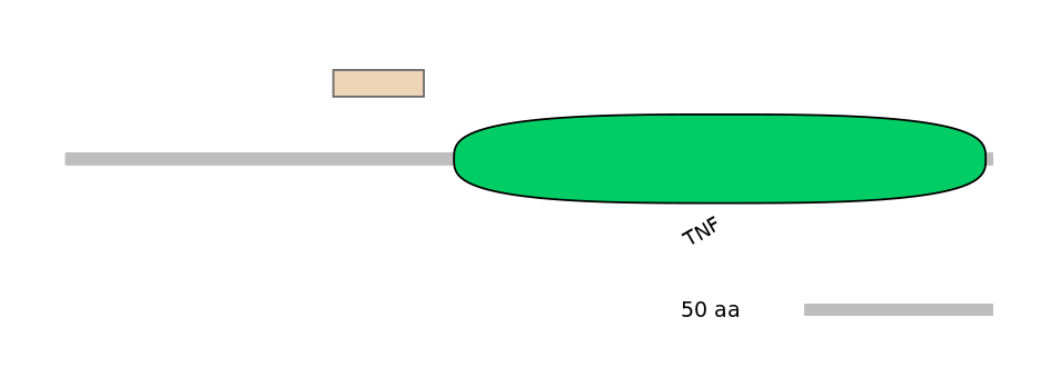 BtaEX0020862-EXC