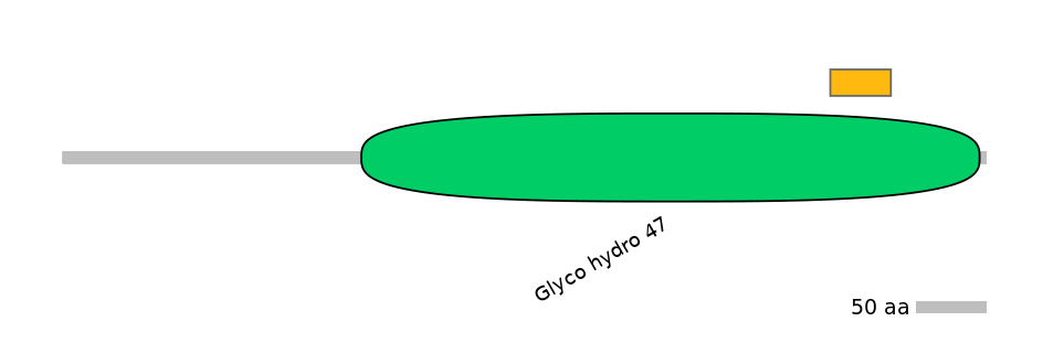 BtaEX0021132-EXC
