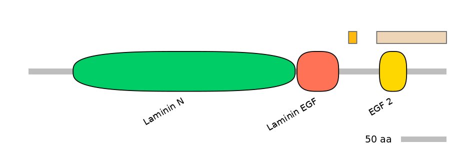 BtaEX0022180-EXC