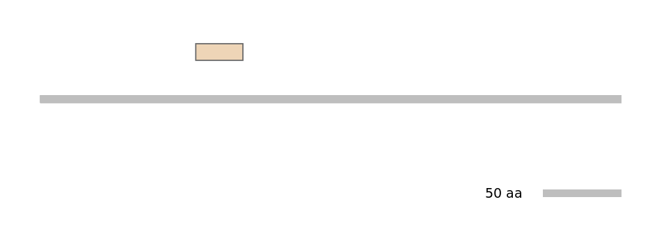 BtaEX0022241-EXC