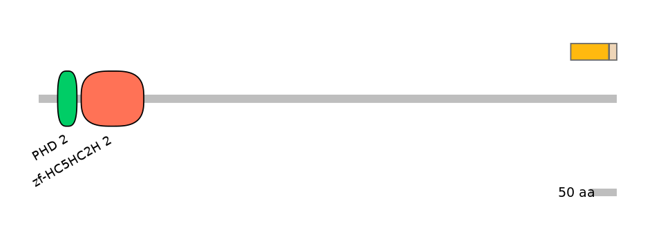 BtaEX0022528-EXC