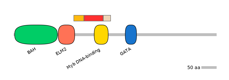 BtaEX0023077-INC