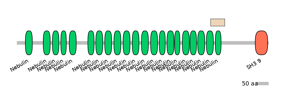 BtaEX0024193-EXC
