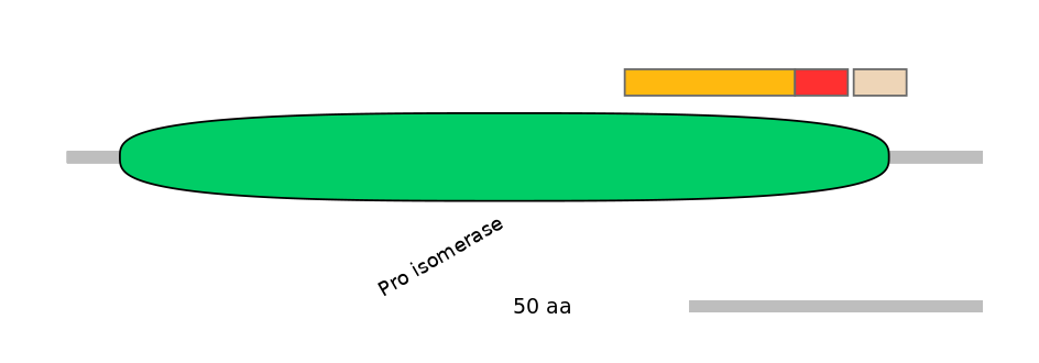 BtaEX0024559-INC