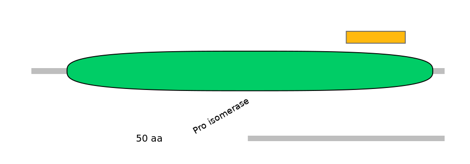 BtaEX0024560-EXC