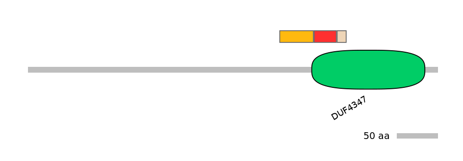 BtaEX0025000-INC