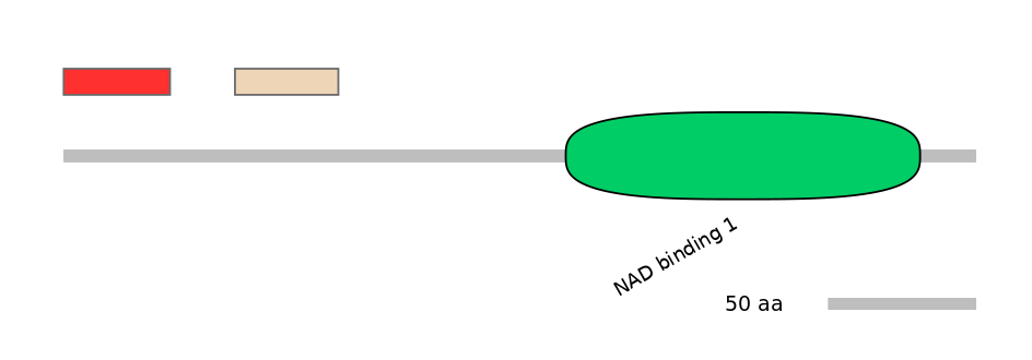 BtaEX0025597-INC