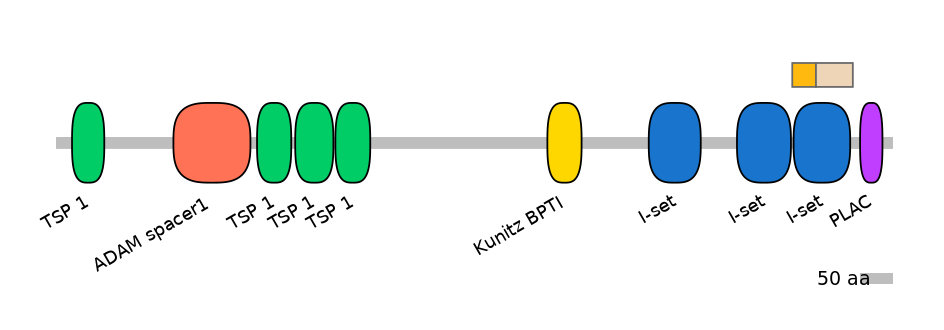 BtaEX0025827-EXC