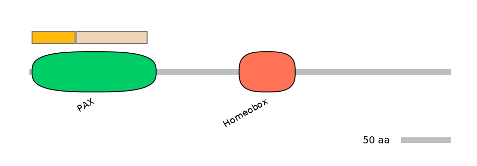 BtaEX0025998-EXC