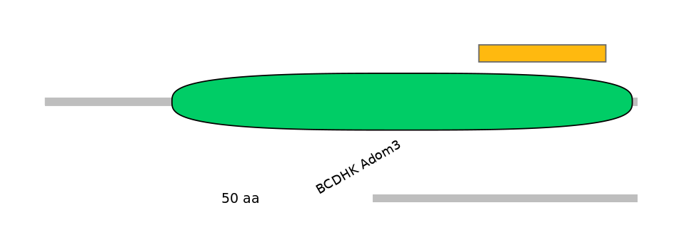 BtaEX0026442-EXC