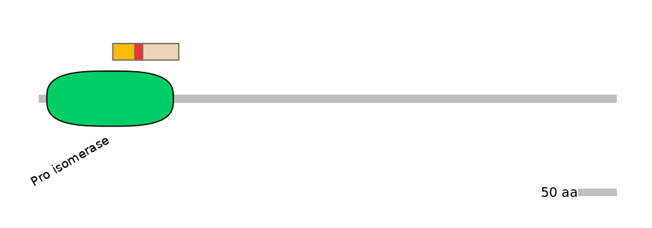 BtaEX0028111-INC
