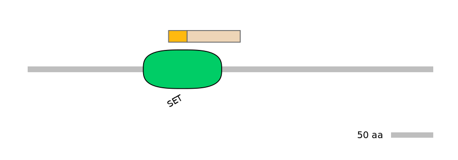 BtaEX0028351-EXC