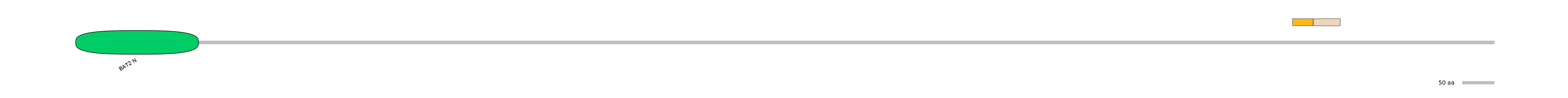 BtaEX0028674-EXC