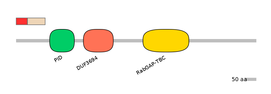 BtaEX0029438-INC