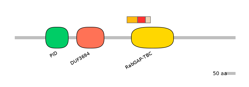 BtaEX0029441-INC