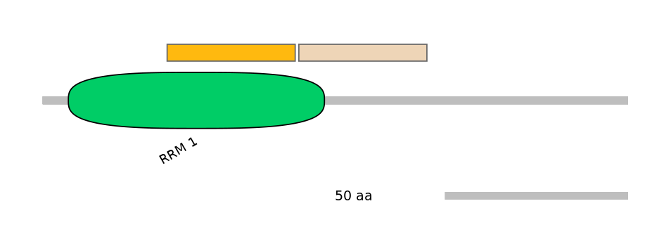 BtaEX0029920-EXC