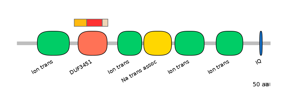 BtaEX0031581-INC