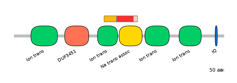 BtaEX0031582-INC