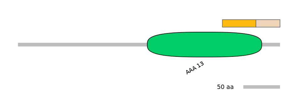 BtaEX0031670-EXC