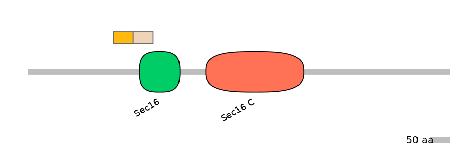 BtaEX0031732-EXC