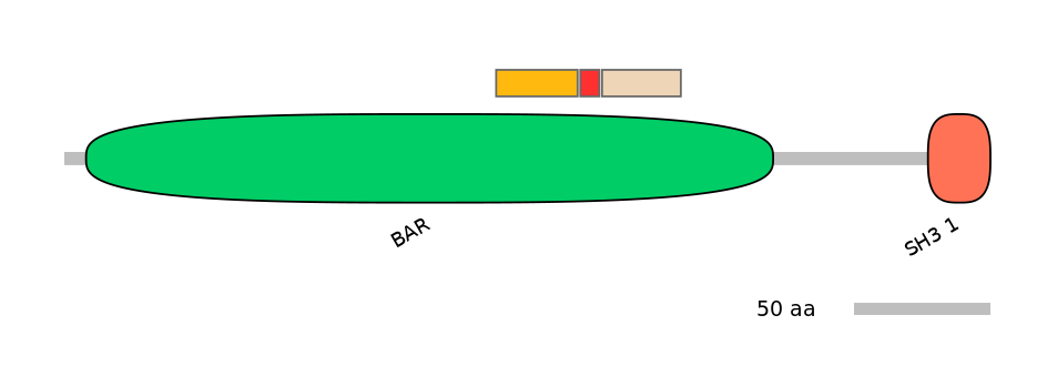 BtaEX0032341-INC