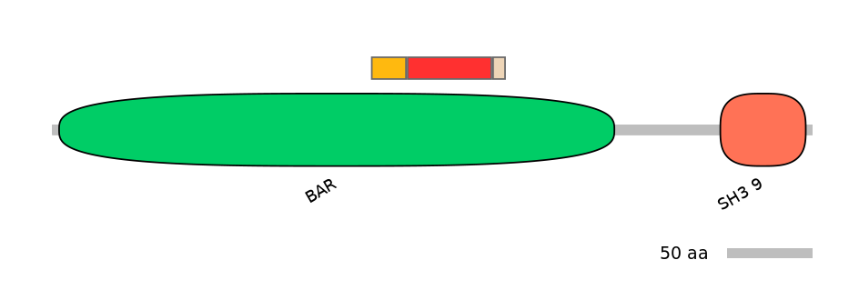 BtaEX0032347-INC