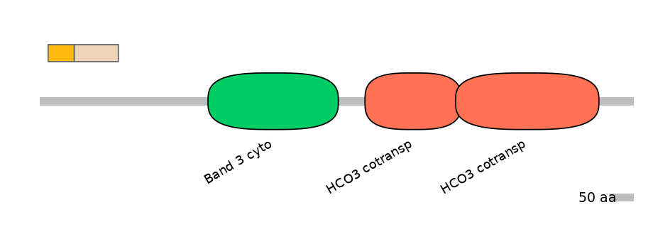 BtaEX0033331-EXC