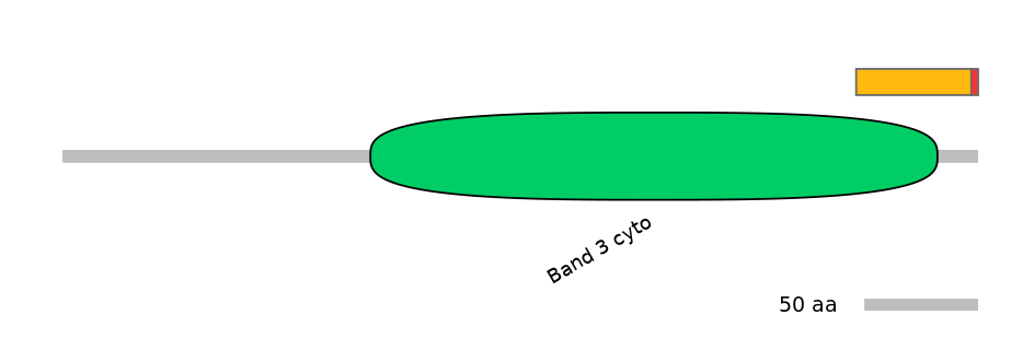 BtaEX0033333-INC