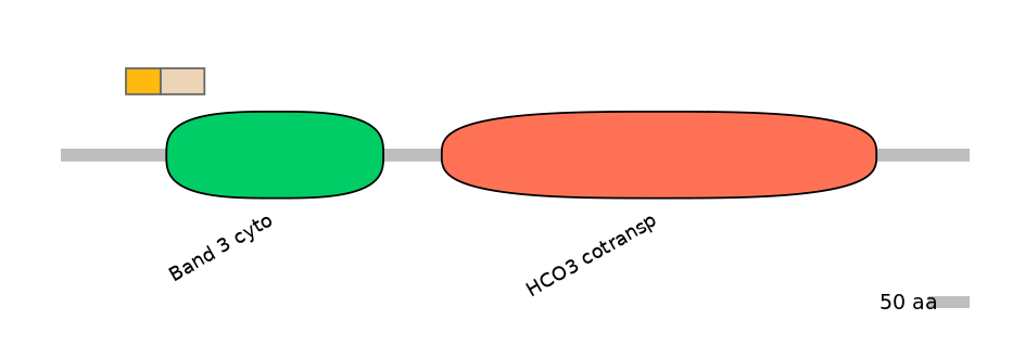 BtaEX0033345-EXC