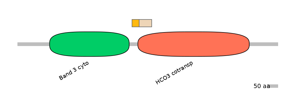 BtaEX0033357-EXC