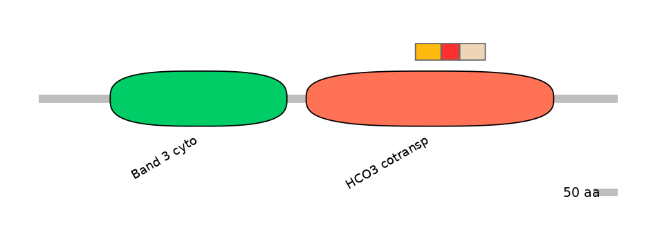 BtaEX0033358-INC