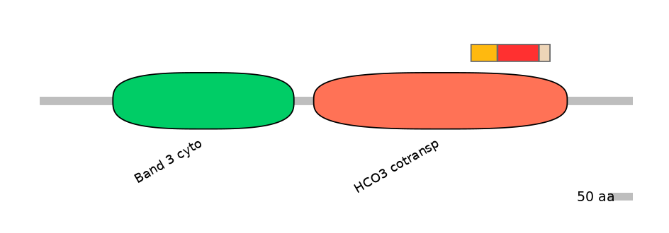 BtaEX0033360-INC