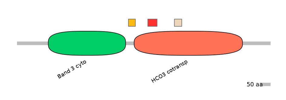 BtaEX0033362-INC
