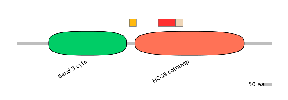 BtaEX0033363-INC