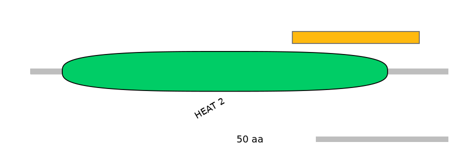 BtaEX0034785-EXC