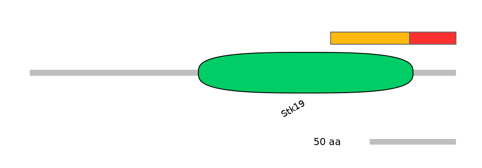 BtaEX0034929-INC