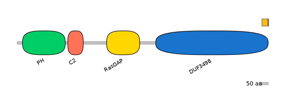 BtaEX0035380-INC