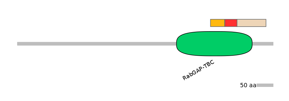 BtaEX0035689-INC