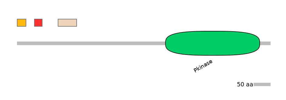 BtaEX0036538-INC